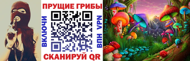 Галлюциногенные грибы Cubensis Арсеньев