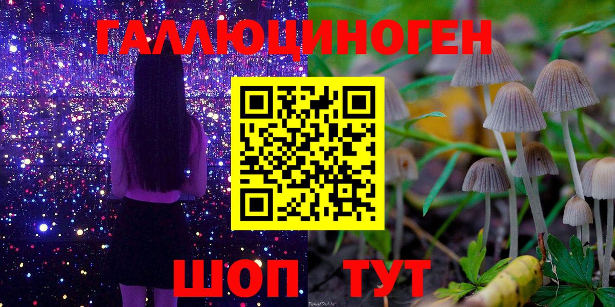 Арсеньев  Галлюциногенные грибы прущие грибы  Вход с VPN 